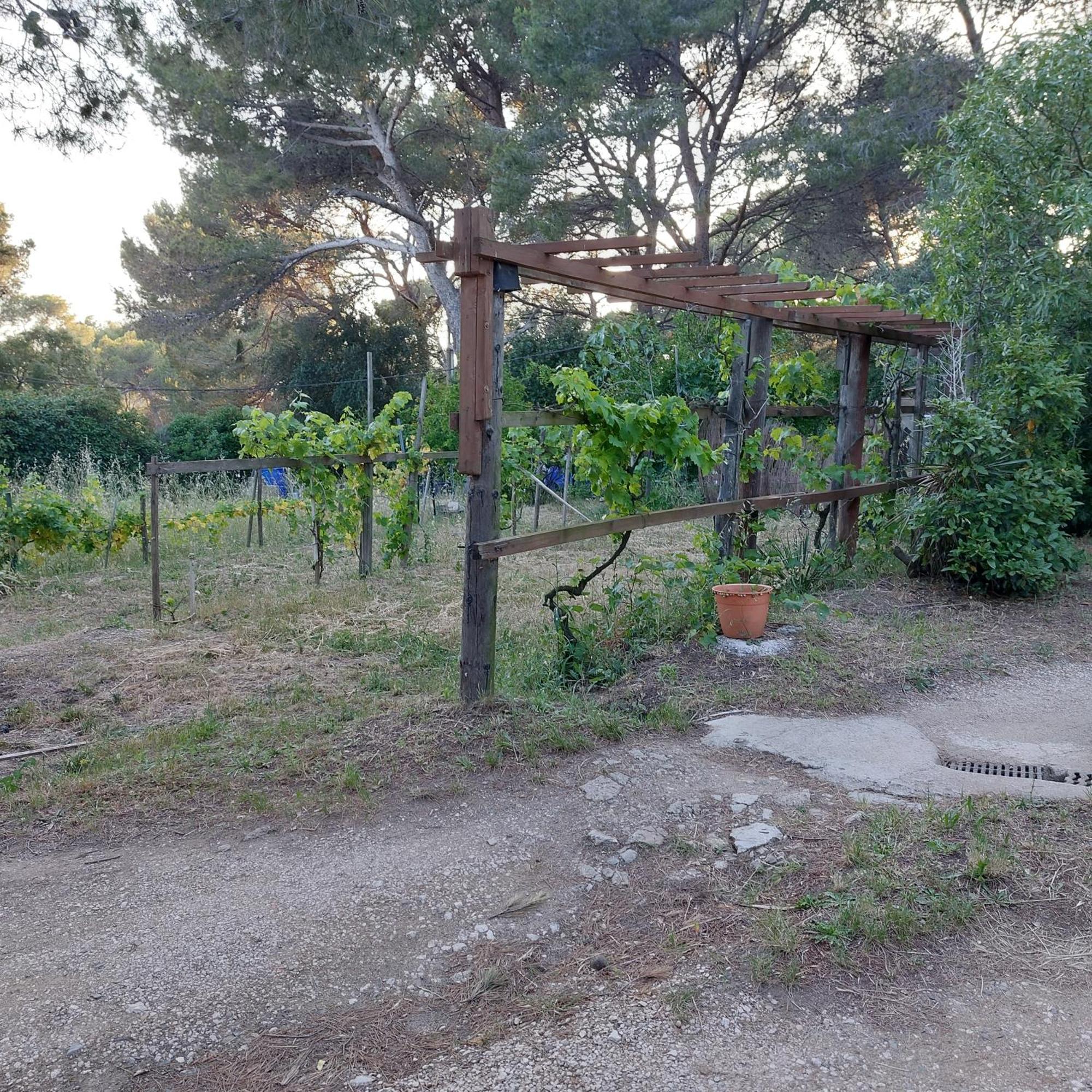 Naturetmer4 Six-Fours-les-Plages Exterior foto